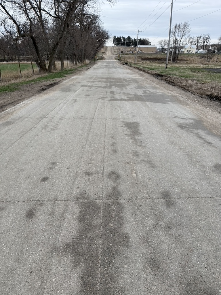 Rural roadway surfaced with concrete through a tree-lined area.
